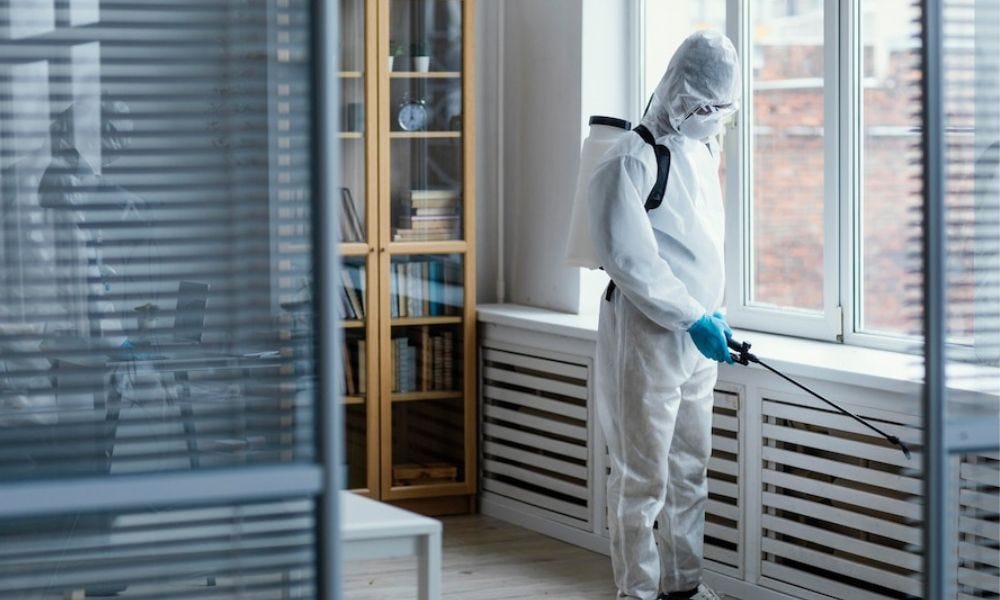 Preventive Pest Control Measures that Work in Centralia