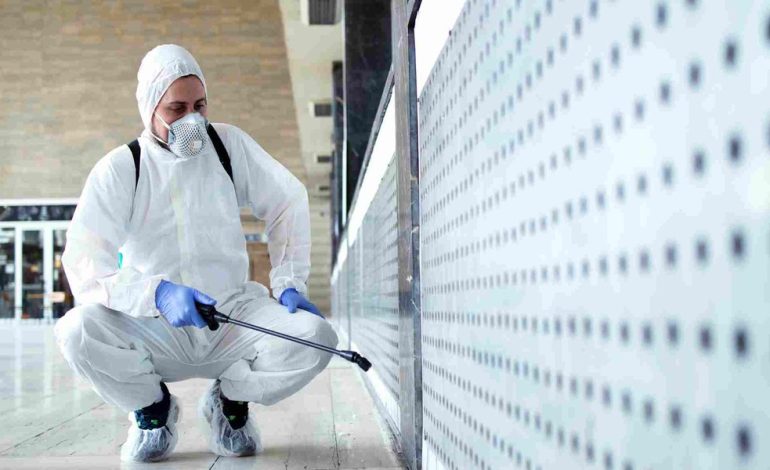 Five Things to Expect During a Professional Pest Inspection in Indianapolis, IN