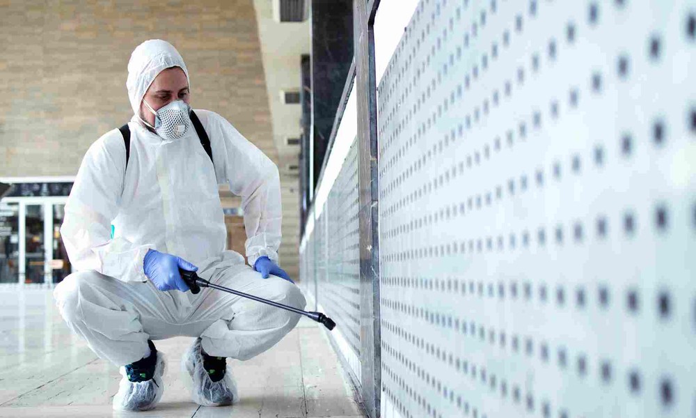 Five Things to Expect During a Professional Pest Inspection in Indianapolis, IN
