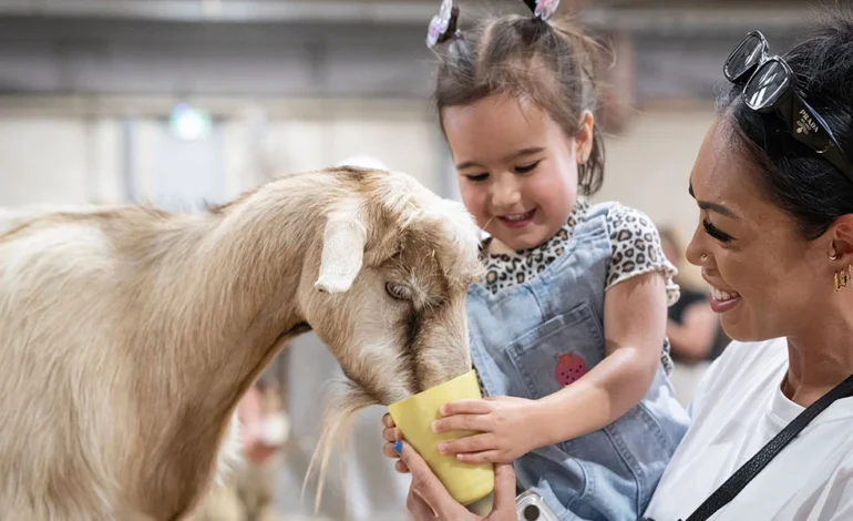 PRACTICAL TIPS FOR UNDERSTANDING FARMYARD ANIMAL BABIES FOR BETTER LONG-TERM RESULTS