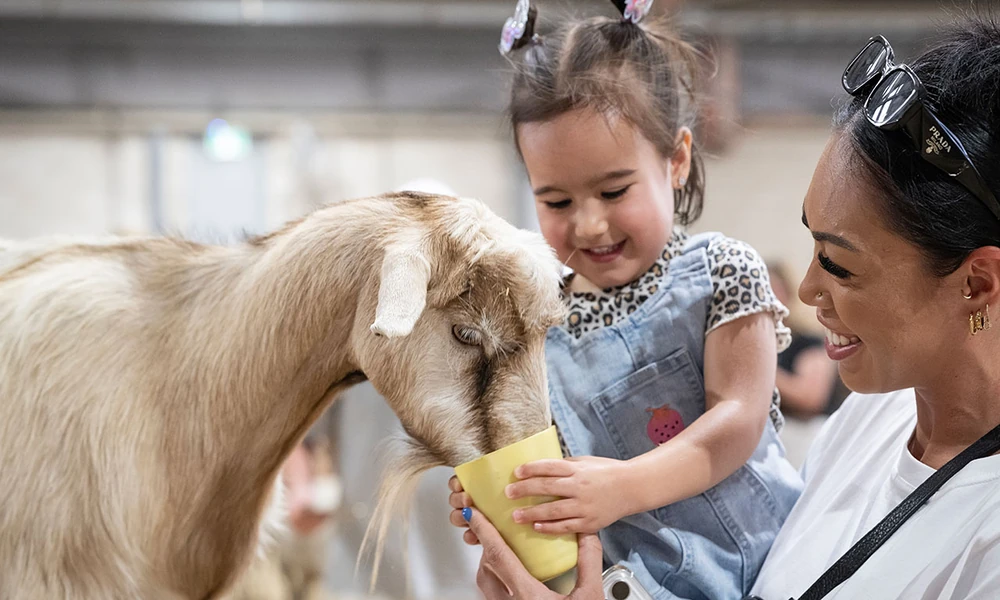 PRACTICAL TIPS FOR UNDERSTANDING FARMYARD ANIMAL BABIES FOR BETTER LONG-TERM RESULTS